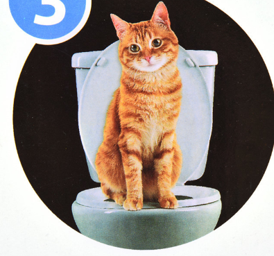 Feline Toilet Trainer for Litter-Free Homes