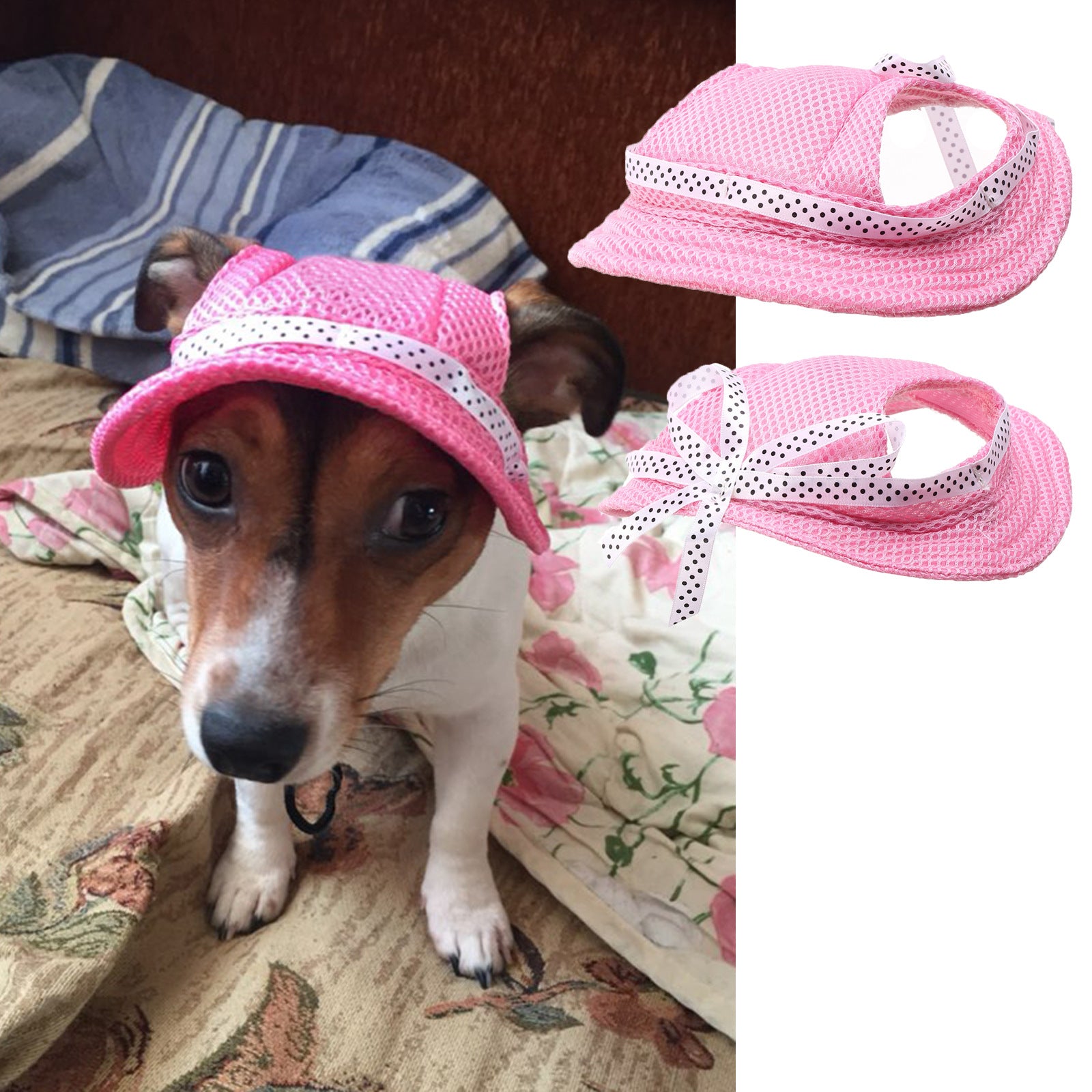 Summer Outdoor Breathable Pet Cap