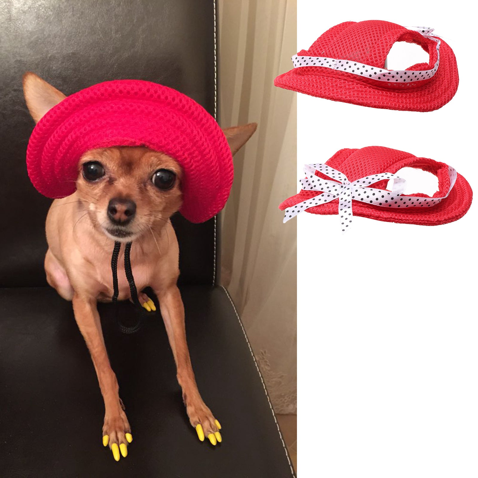 Summer Outdoor Breathable Pet Cap