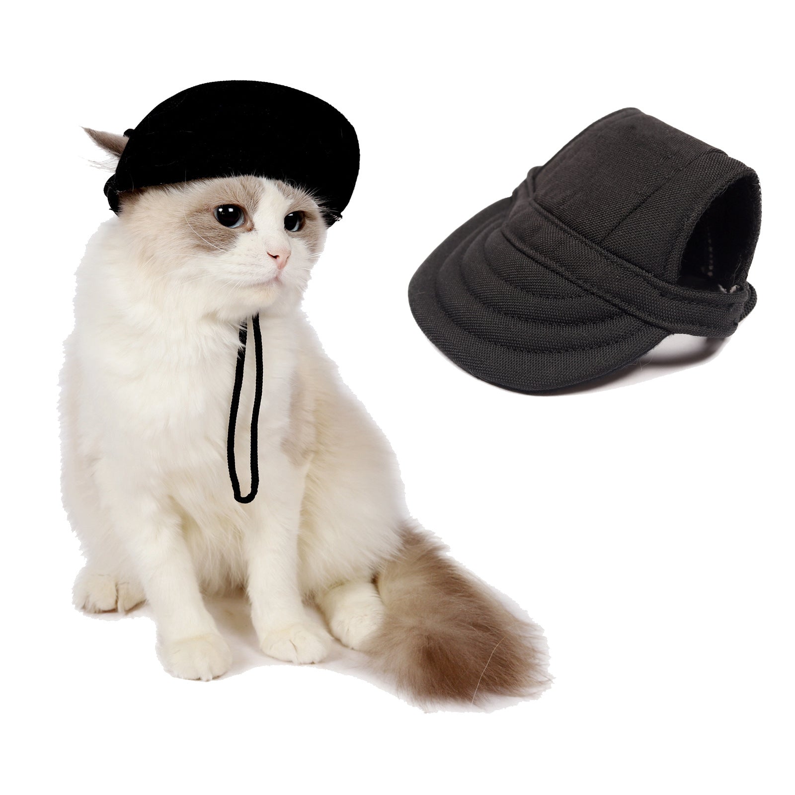Summer Outdoor Breathable Pet Cap