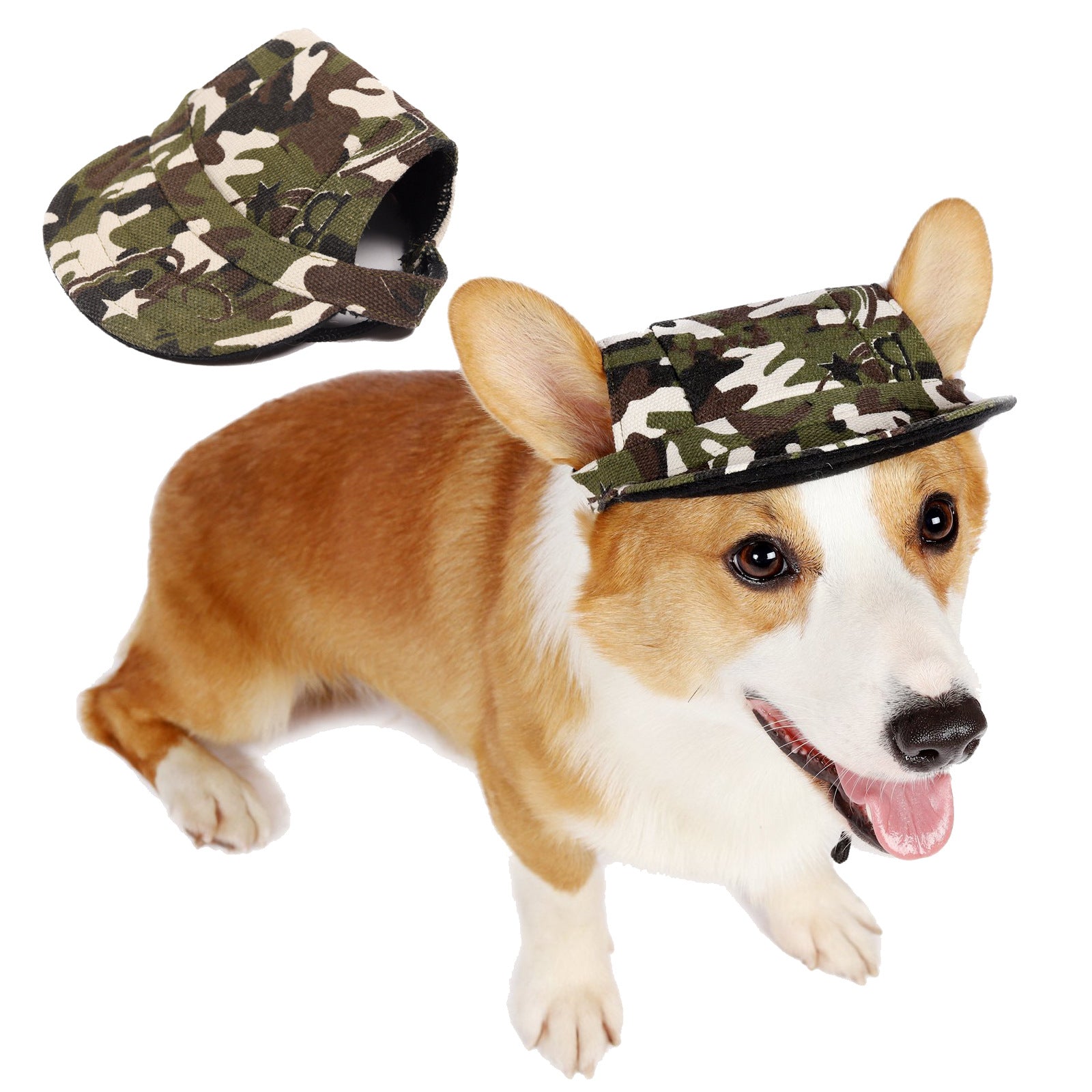 Summer Outdoor Breathable Pet Cap