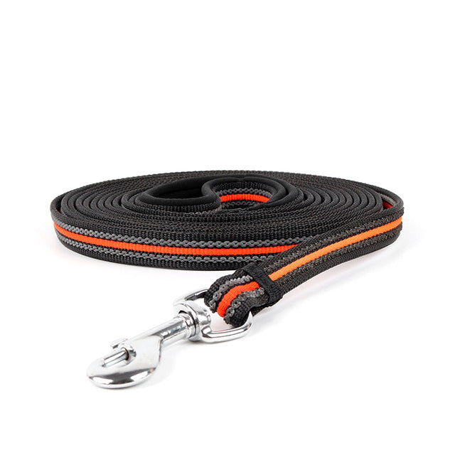 Heavy-Duty Nylon Dog Leash