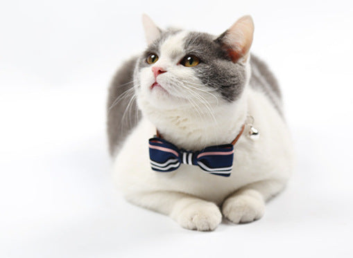 English-Style Pet Bowtie Collar for Small Dogs & Cats