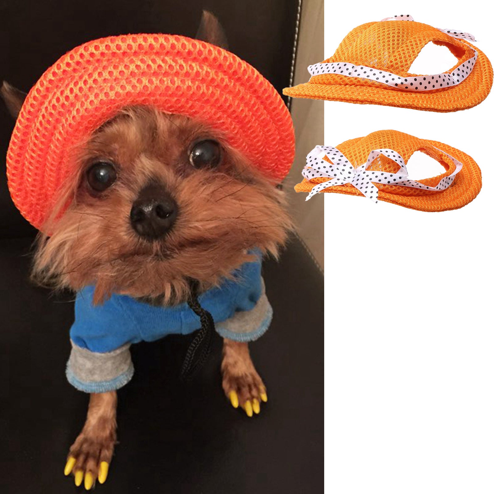 Summer Outdoor Breathable Pet Cap
