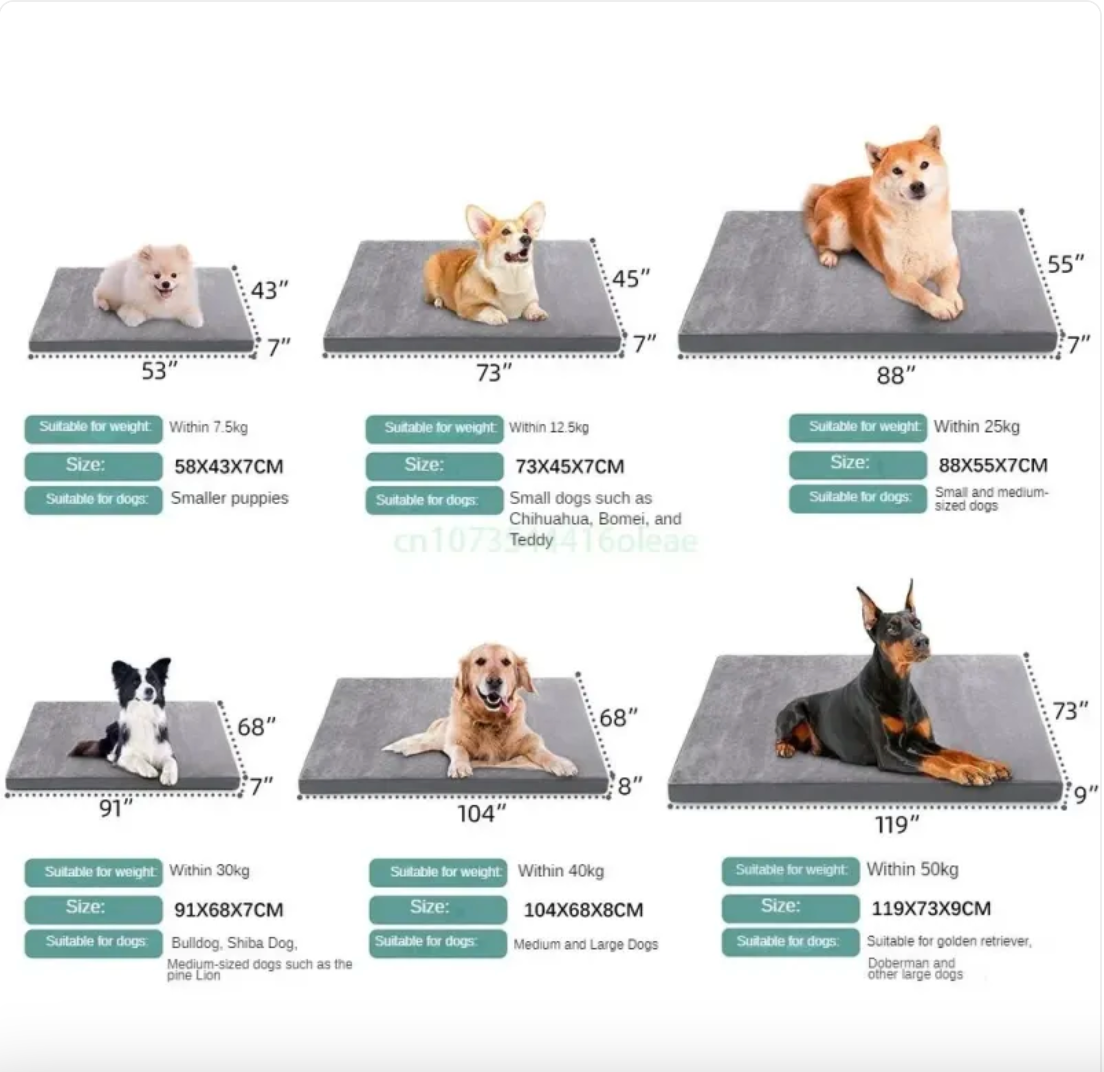 Water-Resistant Canine Bed