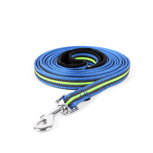Heavy-Duty Nylon Dog Leash