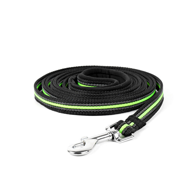 Heavy-Duty Nylon Dog Leash