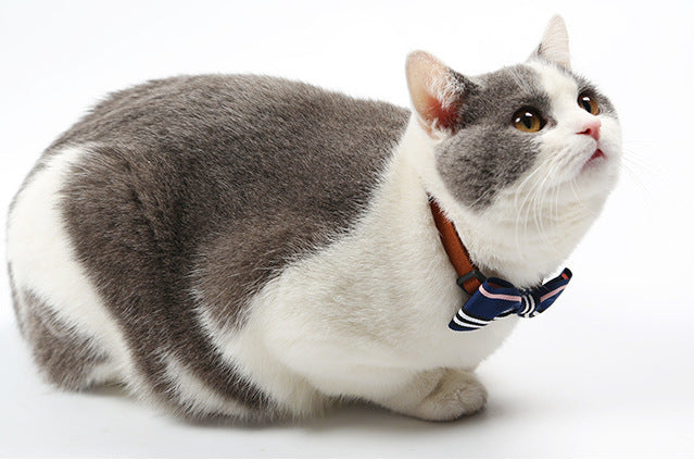 English-Style Pet Bowtie Collar for Small Dogs & Cats